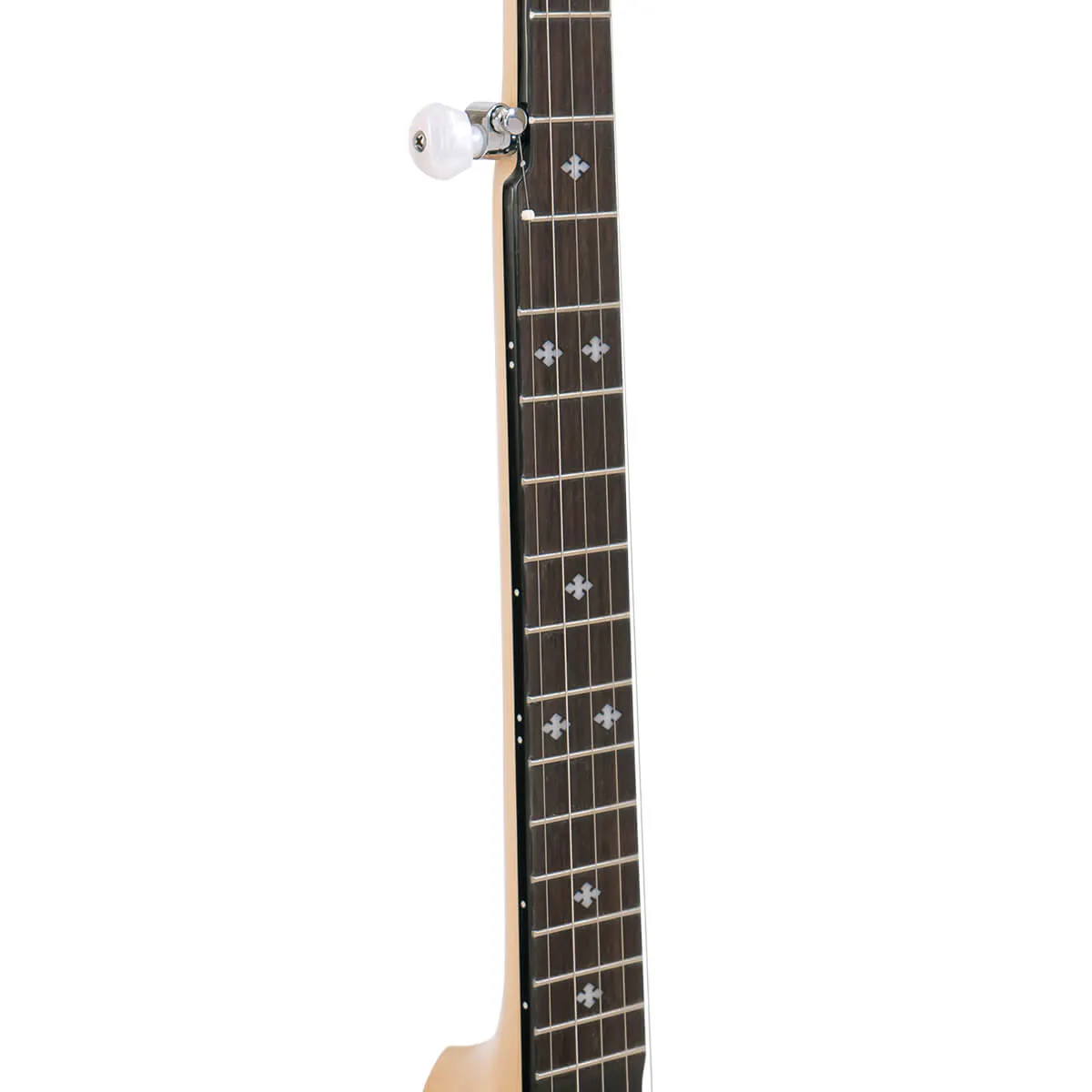 MM-150 Maple Mountain Openback Banjo with Case
