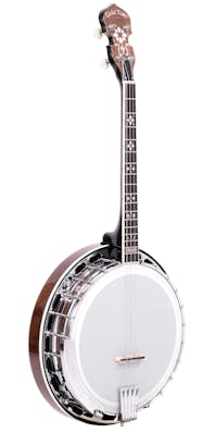 Gold Tone IT-250F Short Scale 17 Fret Irish Tenor Banjo