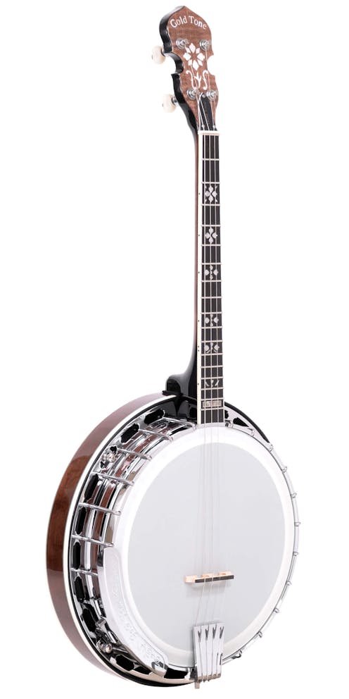Gold Tone IT-250F Short Scale 17 Fret Irish Tenor Banjo