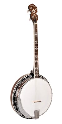 Gold Tone TS-250 Tenor Banjo Special
