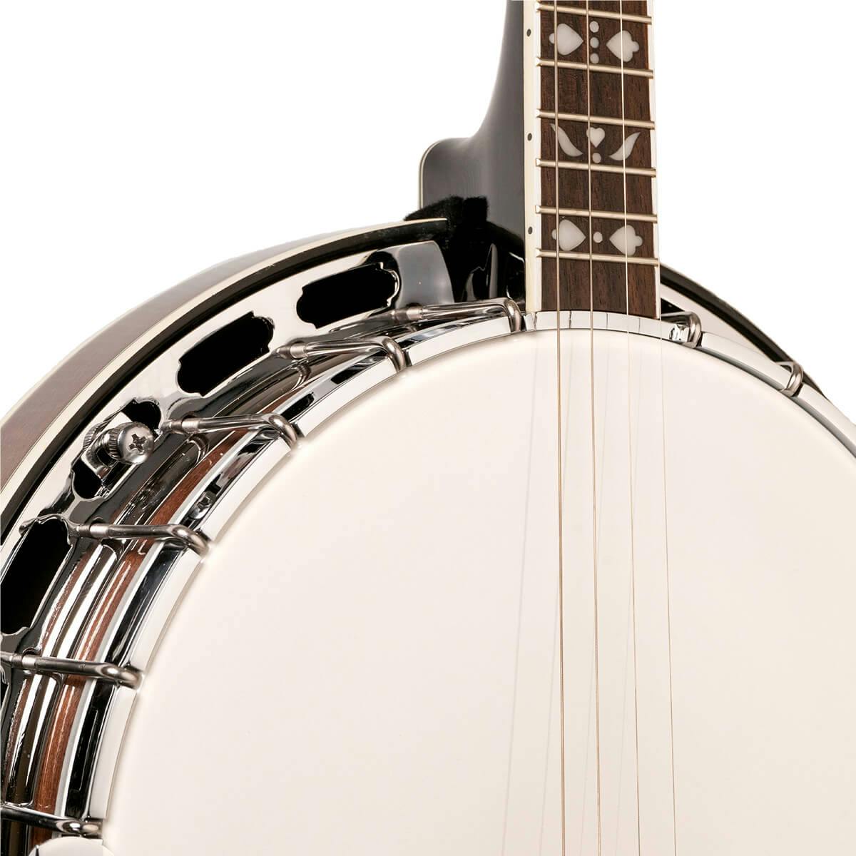 Gold Tone TS-250 Tenor Banjo Special with Case