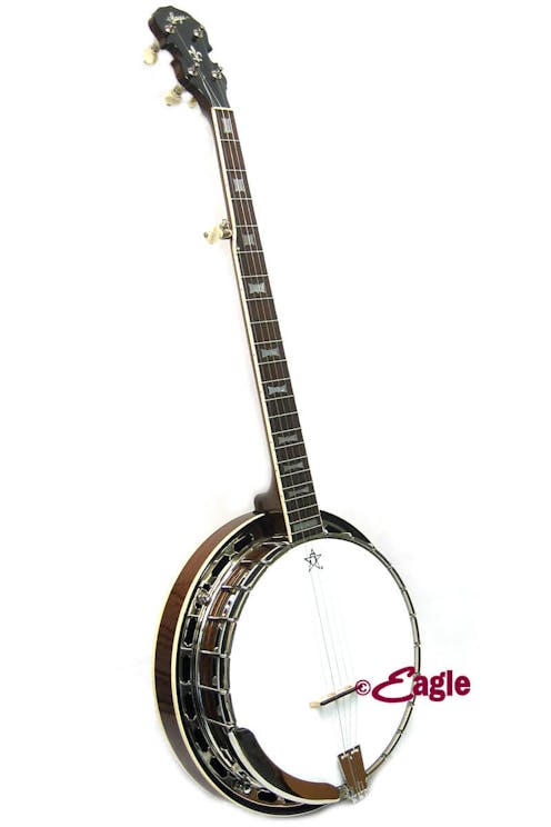 sagaflatheadbanjo