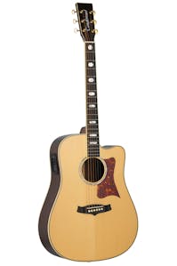Tanglewood TW1000 H SRC E