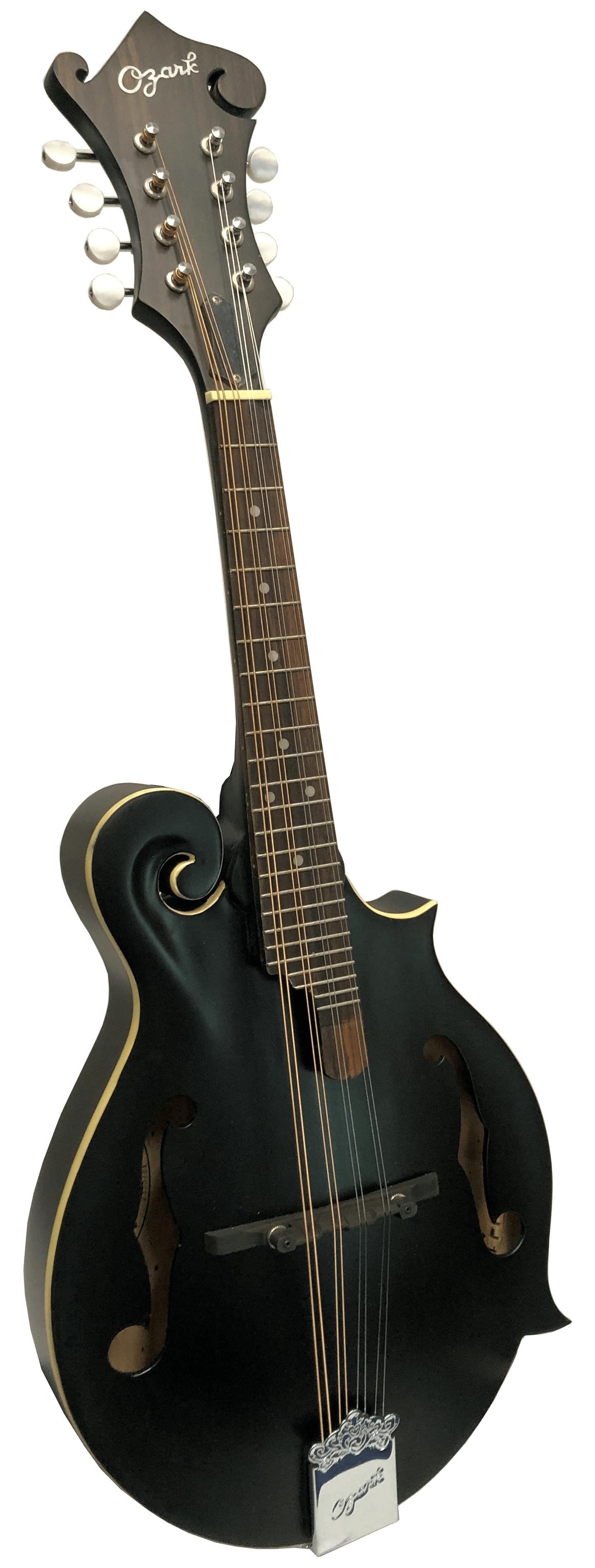 ozark electro acoustic mandolin