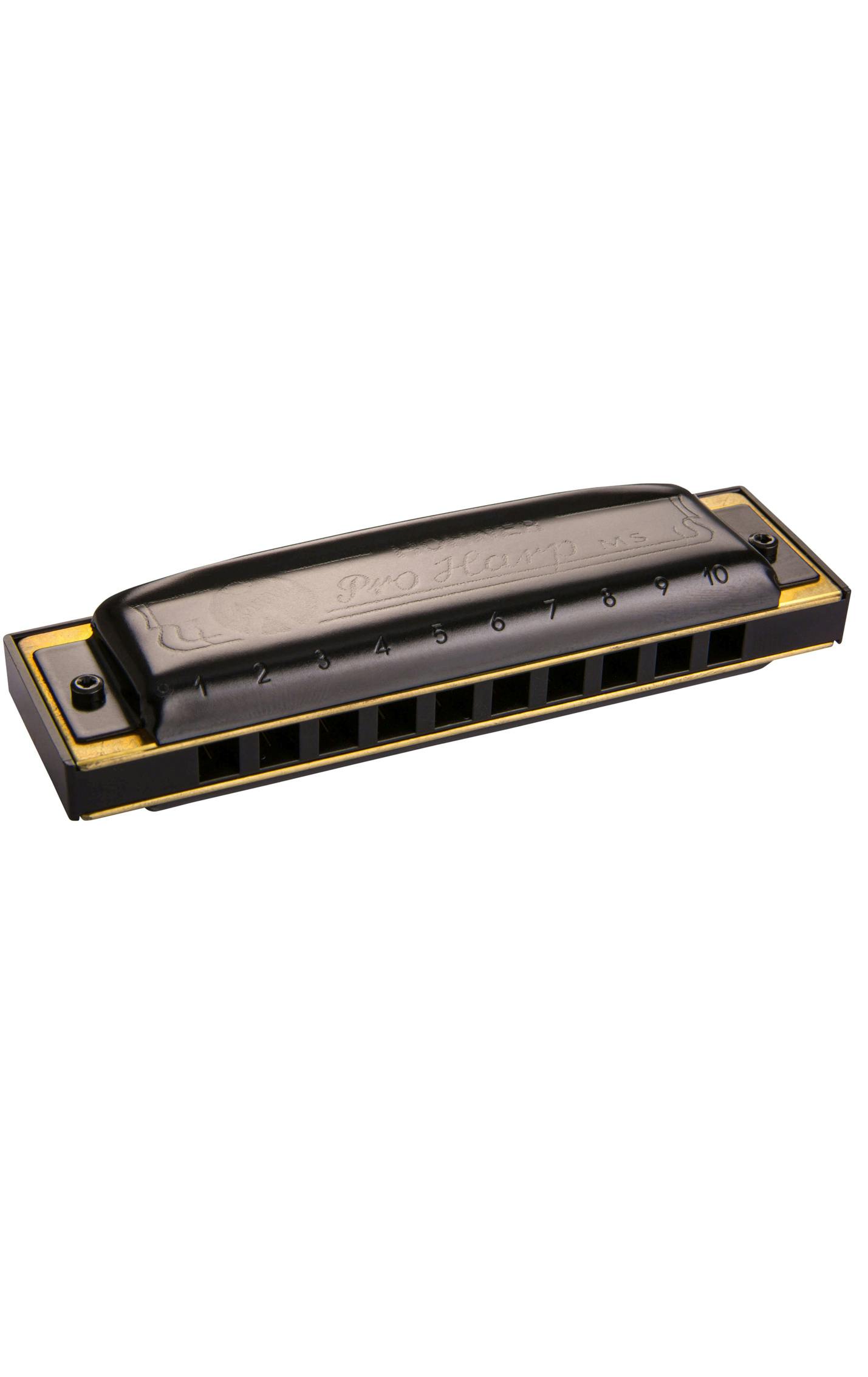 Hohner Pro Harp Diatonic Harmonica
