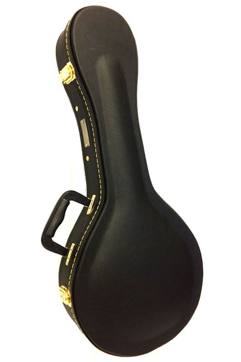 Golden Gate Mandolin case