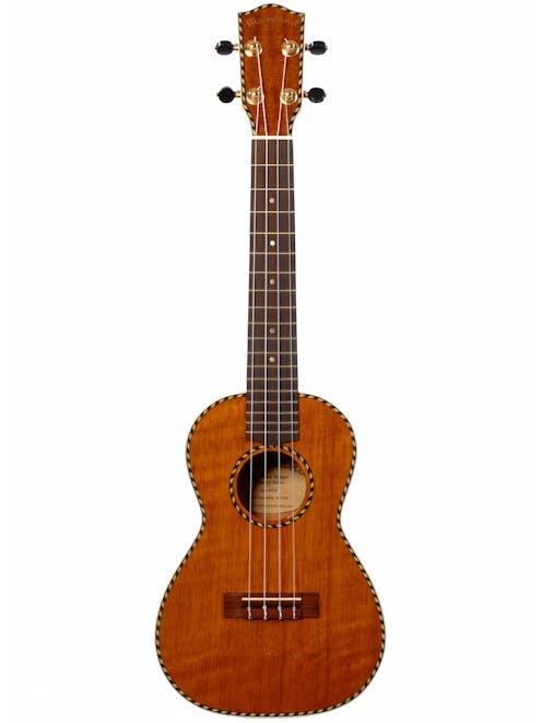 Mainland Mainland Mango Concert Ukulele