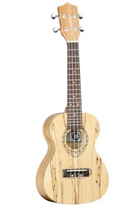 Tanglewood TWT10