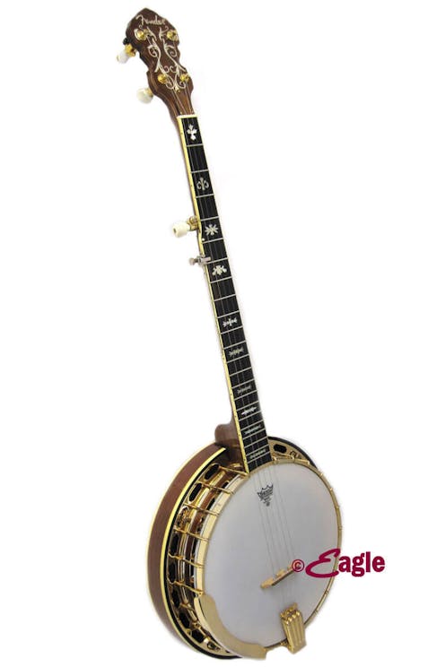 Fender banjo