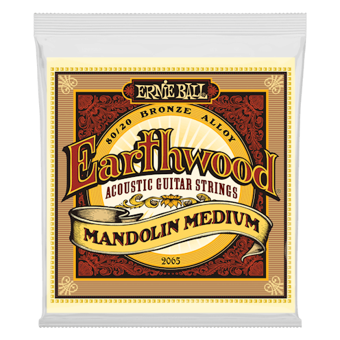 Ernie Ball Mandolin Medium 10