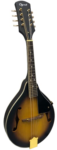 Ozark 2073 (All Solid Timber) With Padded Gig Bag