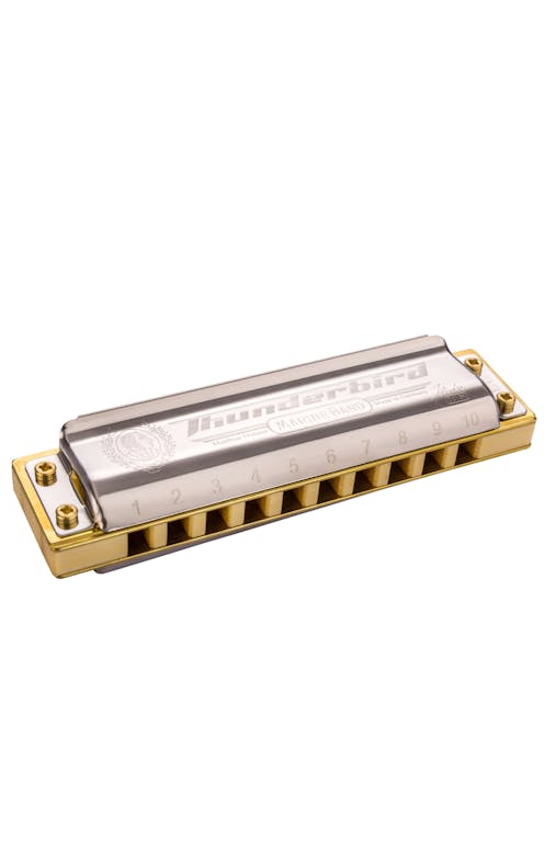 Hohner Thunderbird Low Tuned