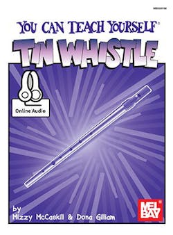 Tin Whistle Information Display Poster (teacher made), tin whistle 