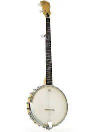 Ozark 2109G with Padded Gig Bag