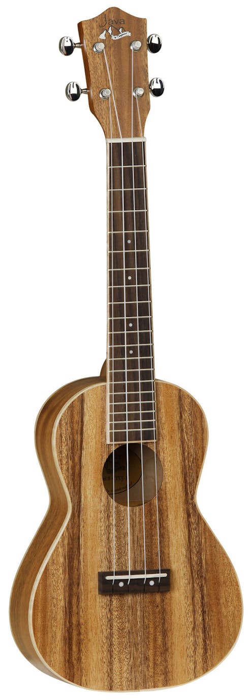 TUJ1 Concert Ukulele