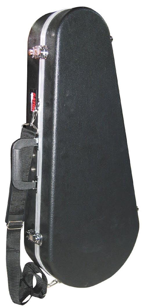 Mandolin Flight Case