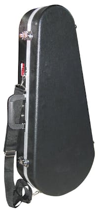 Mandolin Flight Case