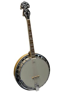 Ozark 2141TN 17 Fret Tenor Banjo with Hard Case - Commission Sale