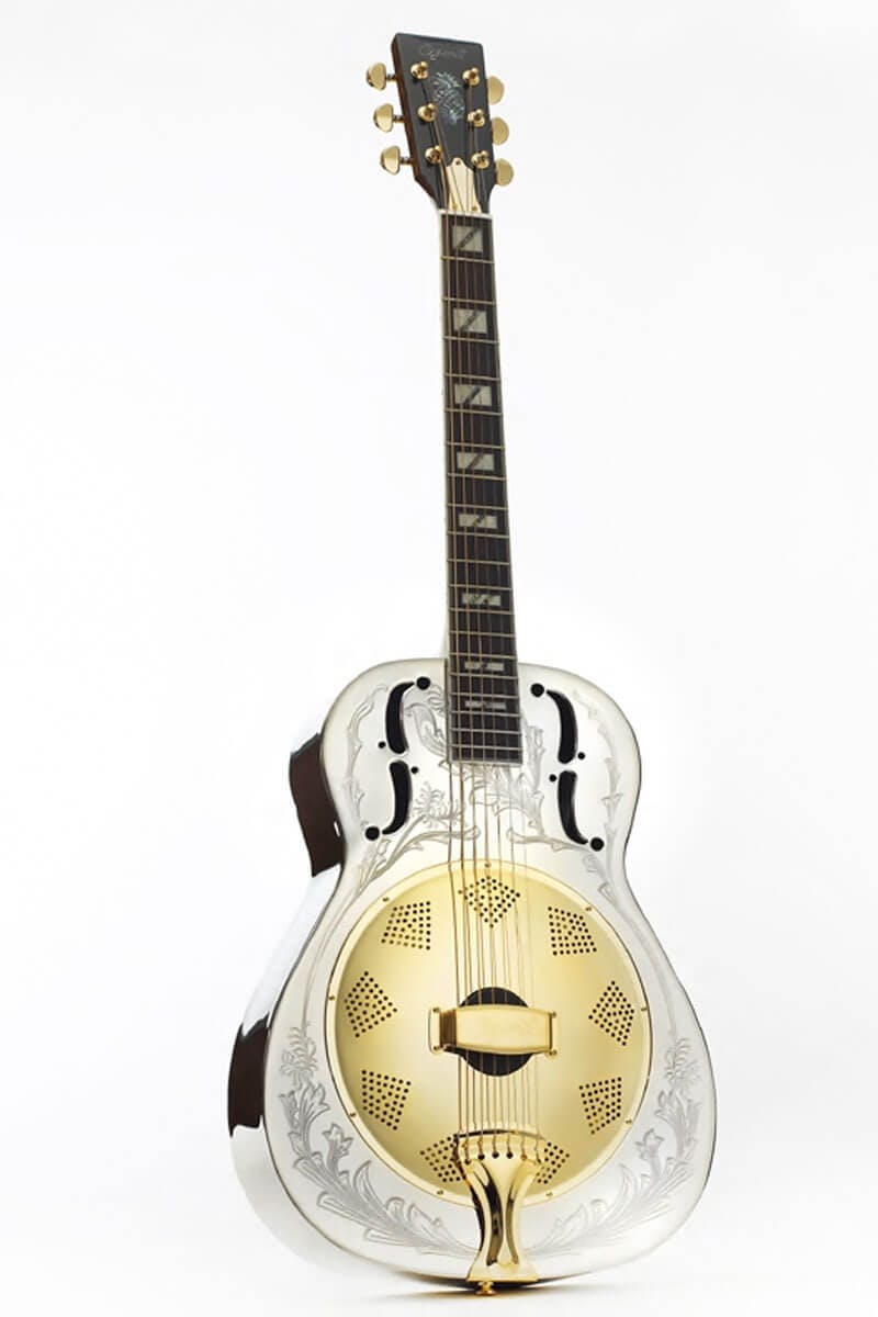 Resonator guitars from Gold Tone and Ozark at Eagle Music Shop