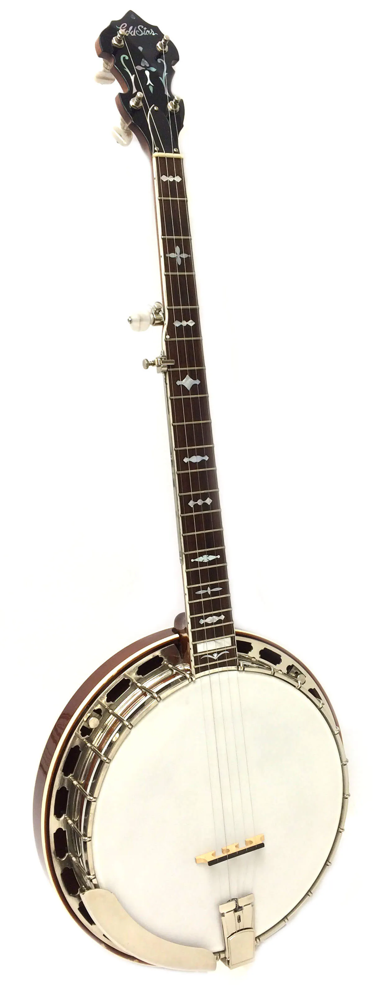 Gold Star Style III Professional 5 string Banjo with Fishman