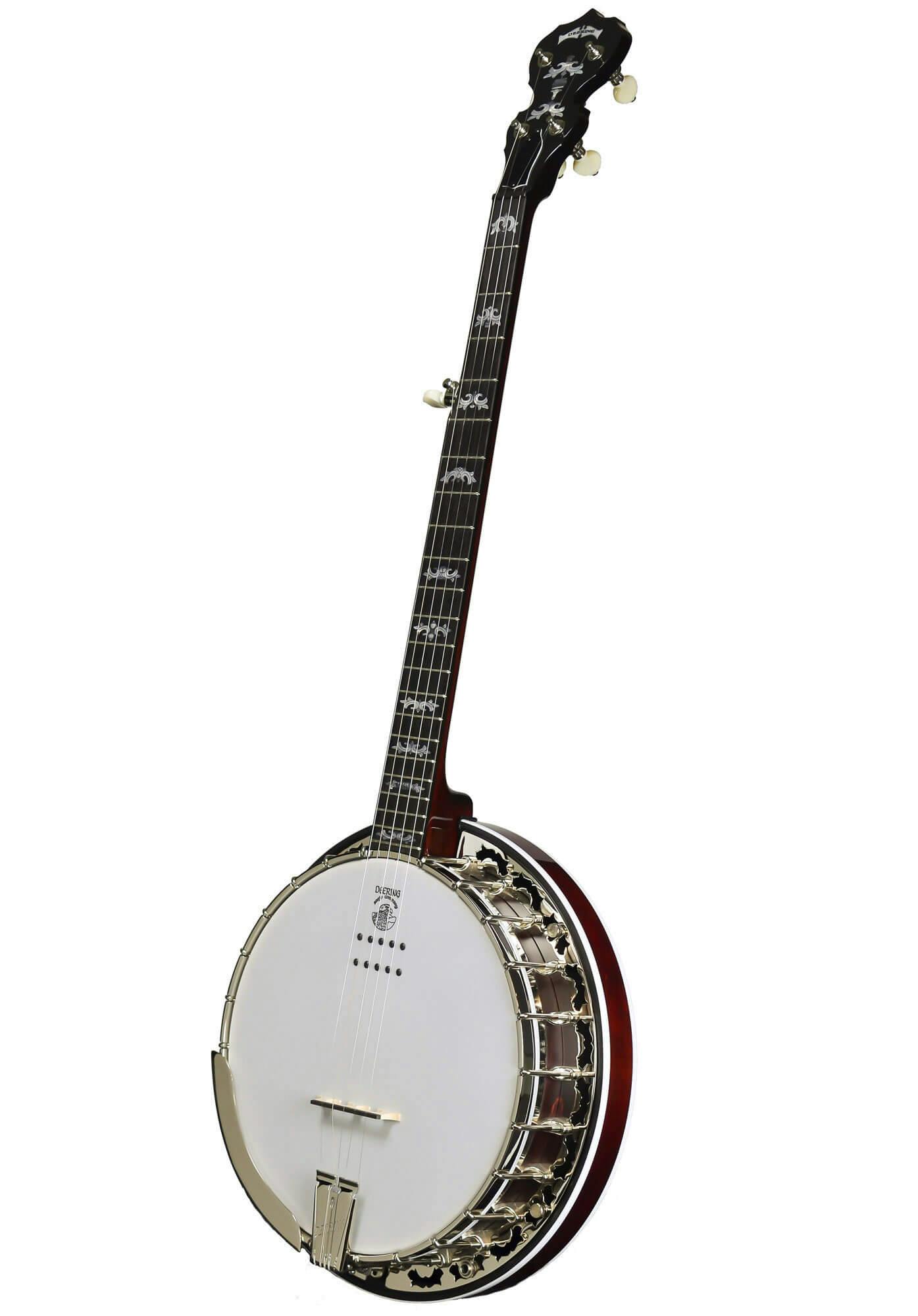 electro acoustic banjo