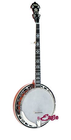 Recording king 5 on sale string banjo