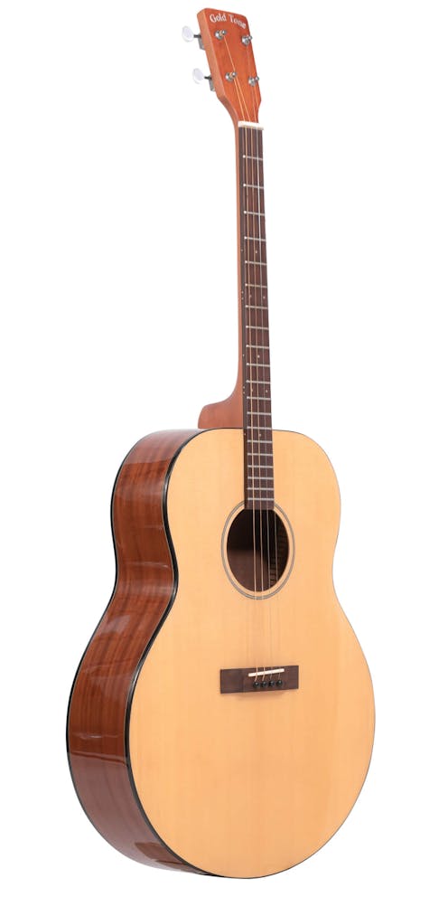 Gold Tone TG-18 Solid Top Tenor Guitar with Gig Bag