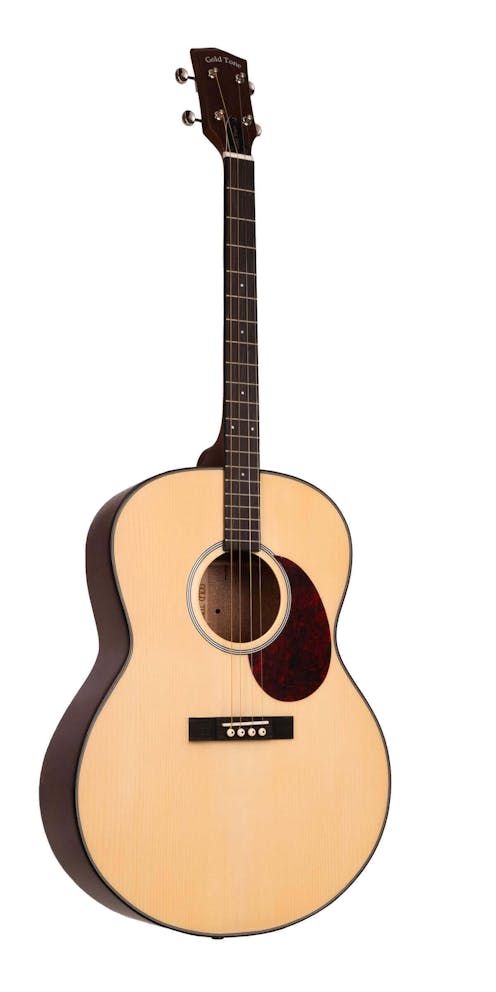 Gold Tone TG-10 Tenor Guitar with Padded Gig Bag