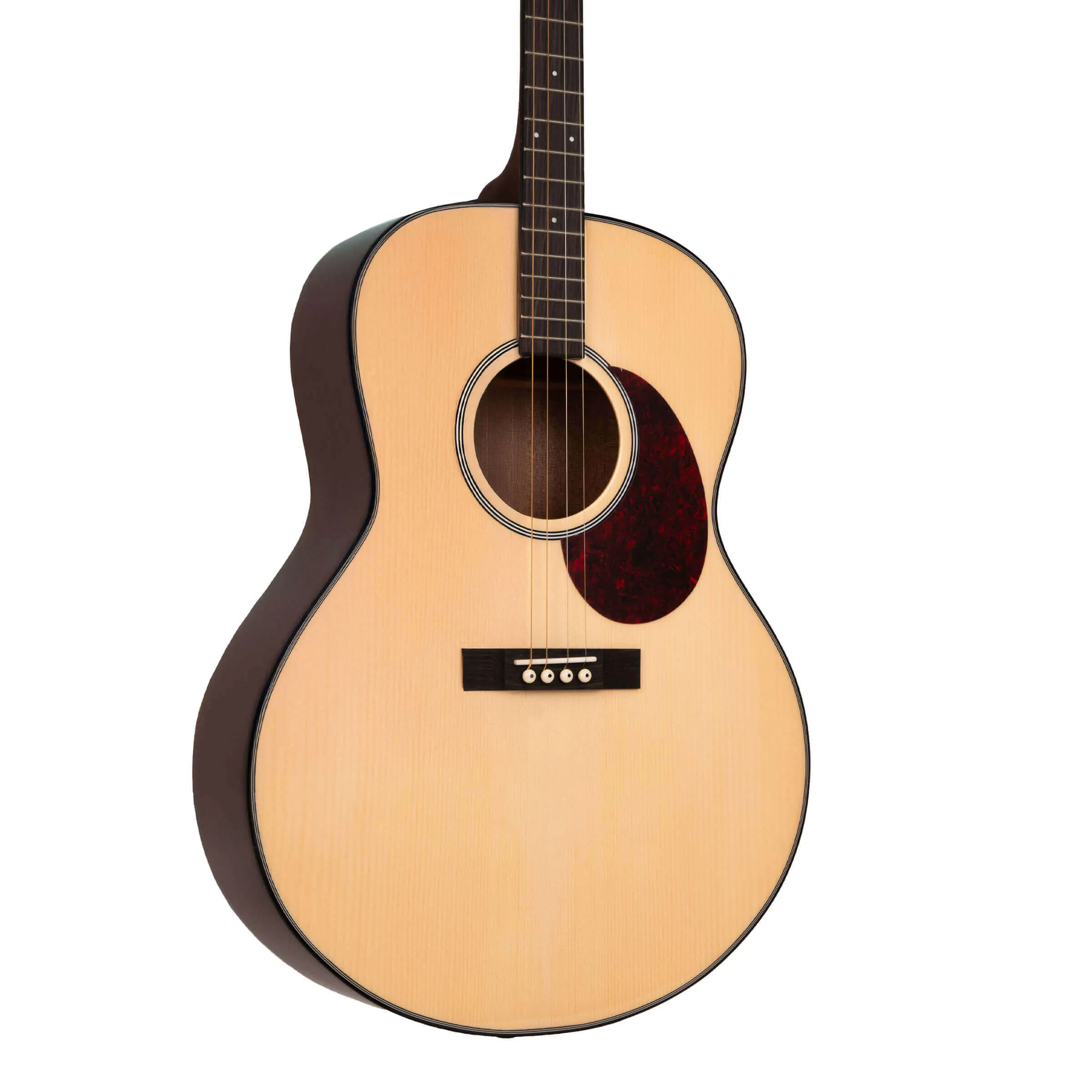 Gold Tone TG-10 Tenor Guitar with Gig Bag