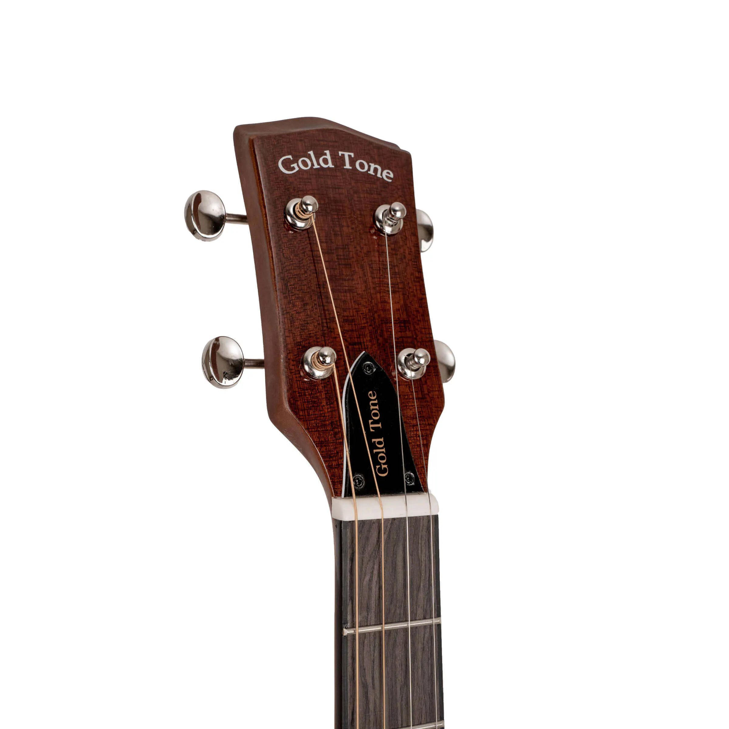 Gold Tone TG-10 Tenor Guitar with Gig Bag