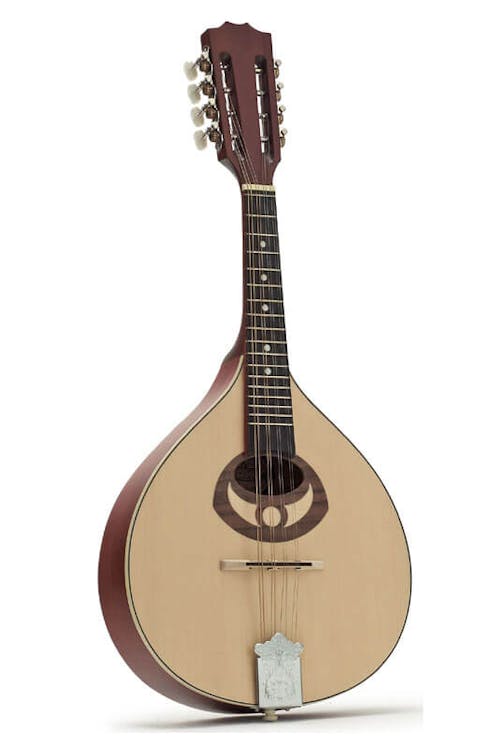 2001 Mandolin