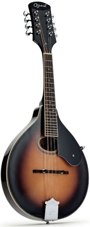 ozark electro acoustic mandolin