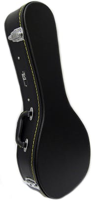 TGI banjo uke case