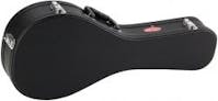 Stagg mandolin Case