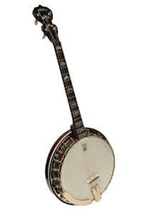 Deering Eagle II 19 Fret Tenor Banjo with Case  - Commission Sale