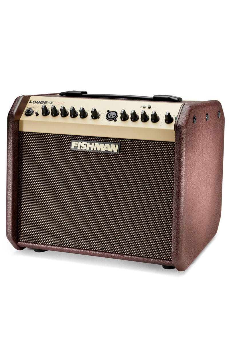 Fishman loudbox mini deals 60w