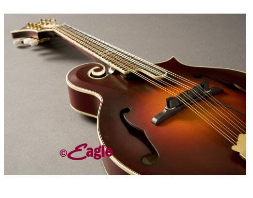 fishman archtop