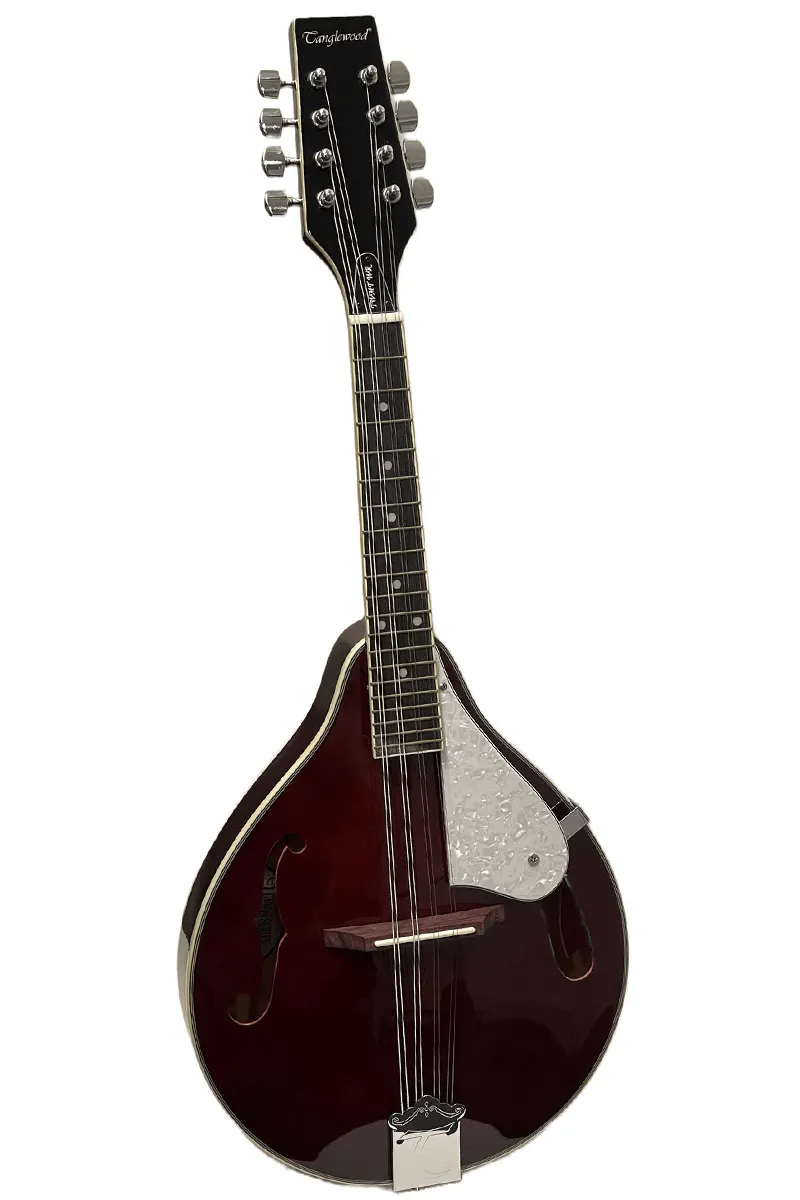 Tanglewood TWM T WR Teardrop Mandolin in the Union Series
