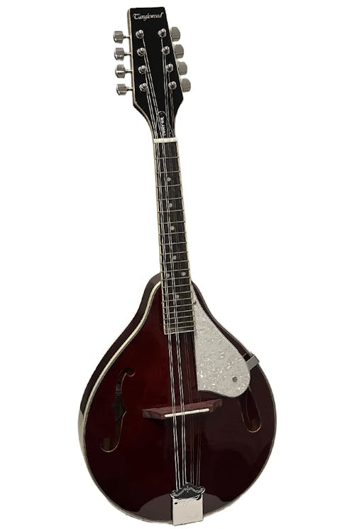 Tanglewood TWM T WR Teardrop Mandolin