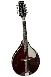 Tanglewood TWM T WR Teardrop Mandolin