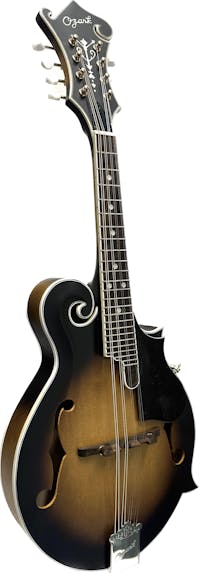 Ozark Solid Top 2255 'F' Model with Padded GigBag