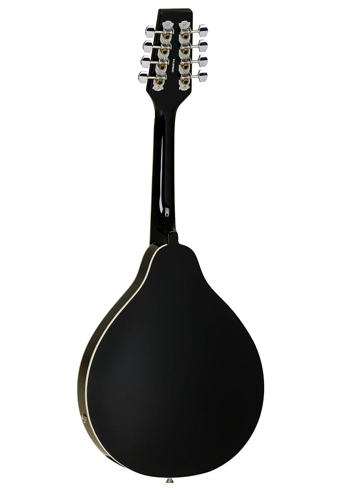 tanglewood electro acoustic mandolin