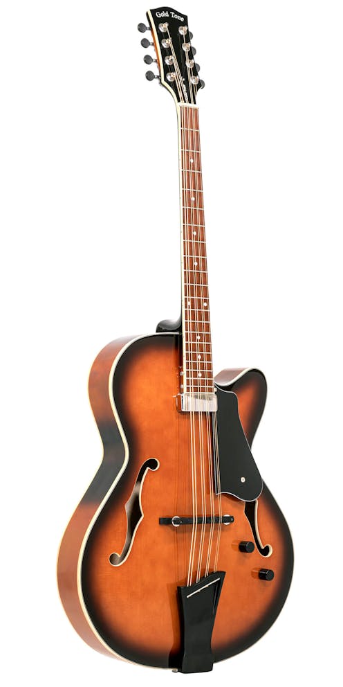 Gold Tone Mandocello with Hardshell Case