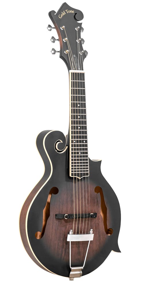 Gold Tone F-6 F-style Mando-Guitar with Pickup and Case