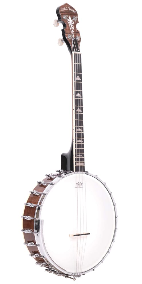 Gold Tone IT-250 Short Scale 17 Fret Open Back  “Irish Tenor” Banjo with Hard Case