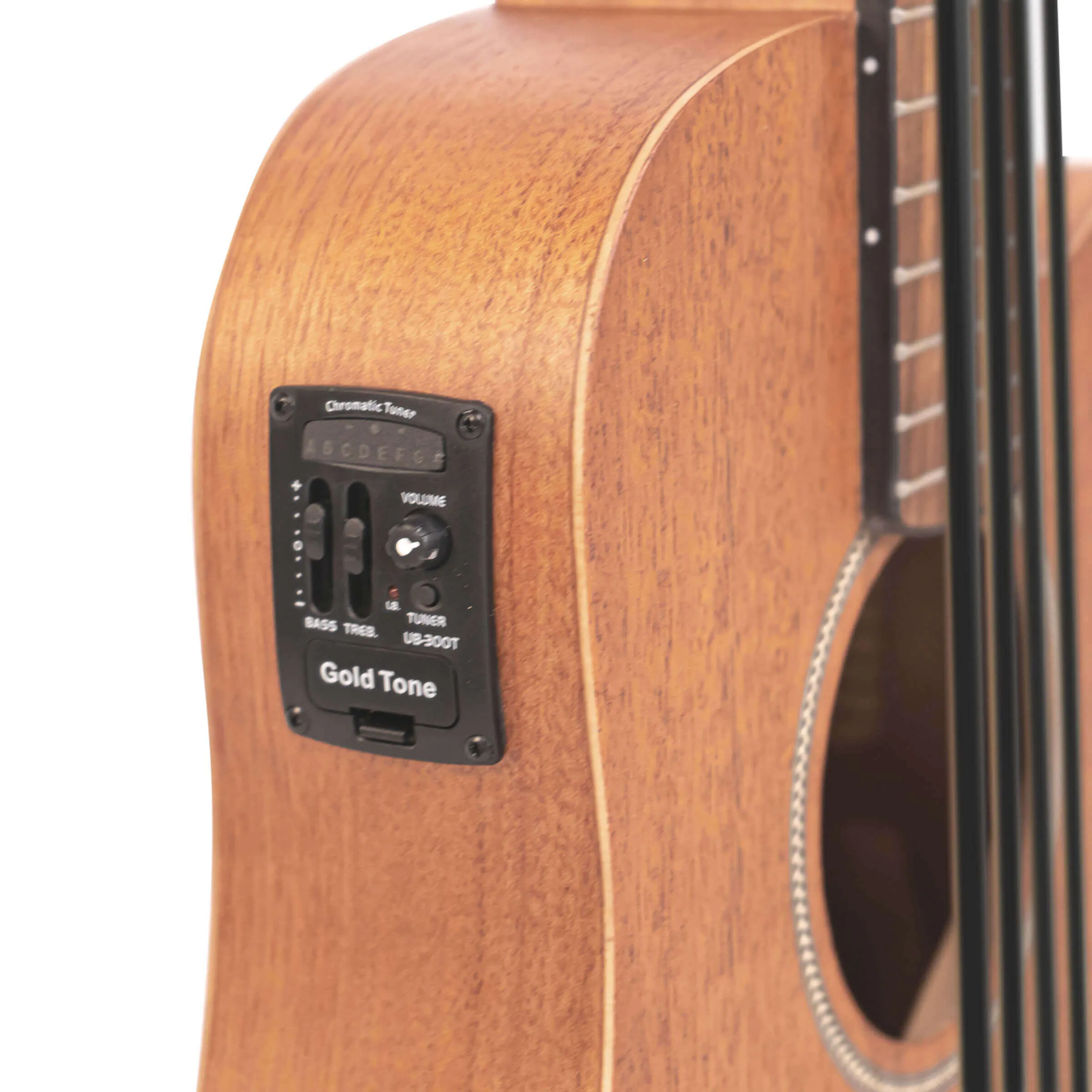 M-Bass 23-Inch Scale Acoustic-Electric MicroBass with Gig Bag