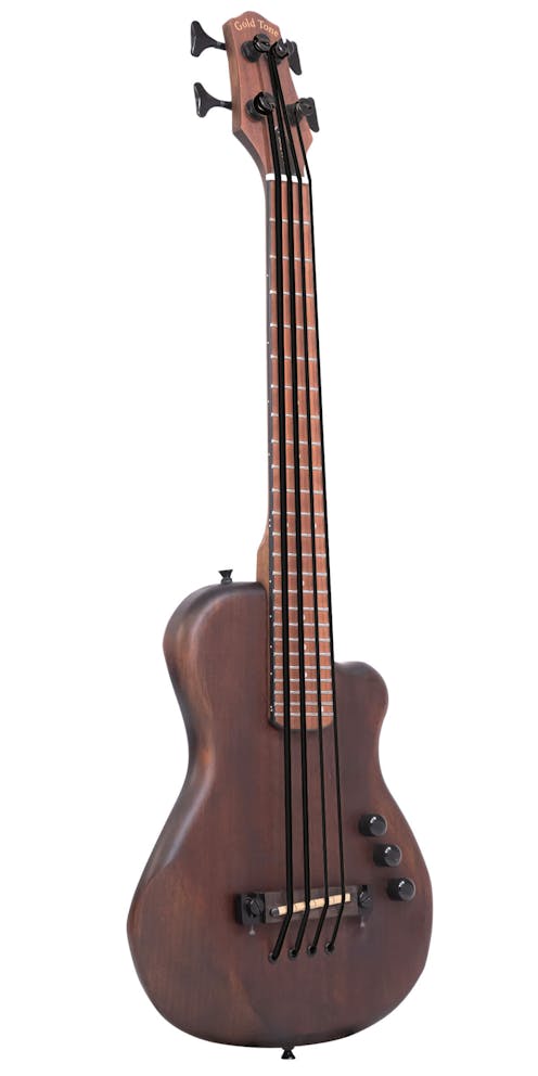 Gold Tone ME Bass with Deluxe Padded gig bag