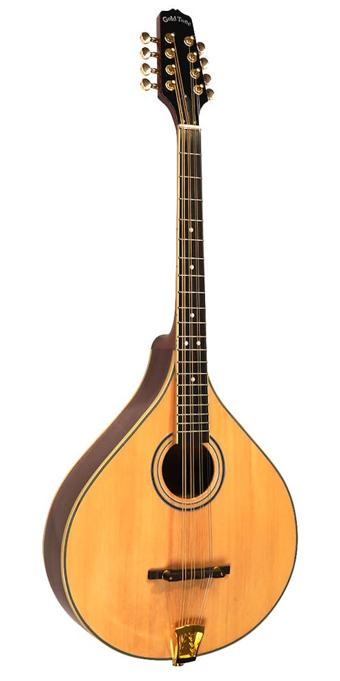 Gold Tone OM-800+ Octave Mandolin with Hard Case