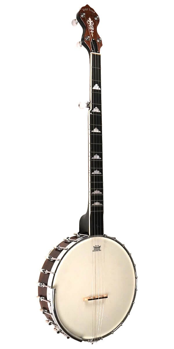Gold Tone WL250 White Ladye Open Back Banjo from Titusville Florida