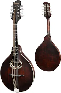 Eastman MD304 Handcrafted A-Style Mandolin with Gig Bag